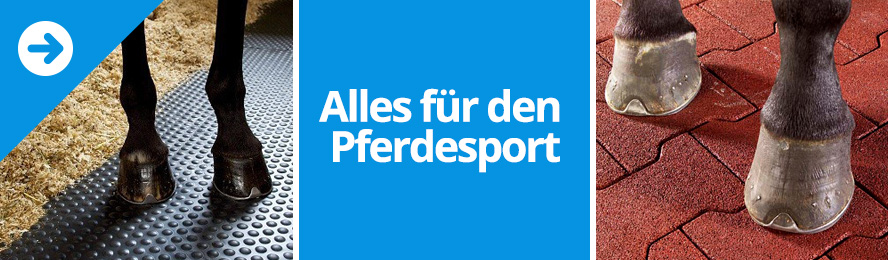 Alles für den Pferdesport