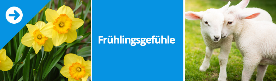 Frühlingsgefühle