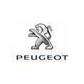 Peugeot 307 II Automatte (4 Stück pro Set)