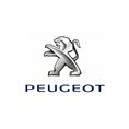Peugeot 308 II SW Automatte (4 Stück pro Set)