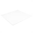 PTFE-Platte weiß 250x250x3mm