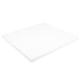 PTFE-Platte weiß 600x600x25mm