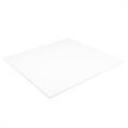PTFE-Platte weiß 600x600x8mm