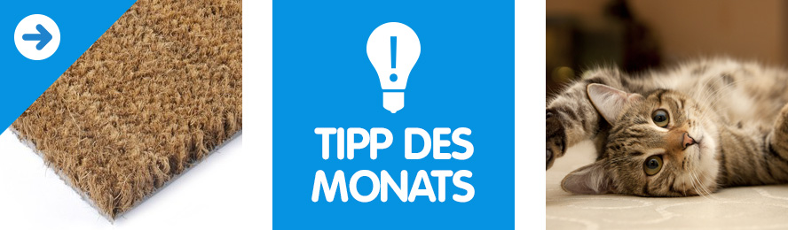 Tipp des Monats - Kokosmatten als Katzenmatte