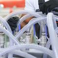 Transparenter FDA-Saugschlauch DN=19mm mit Stahlspirale (L=50m)